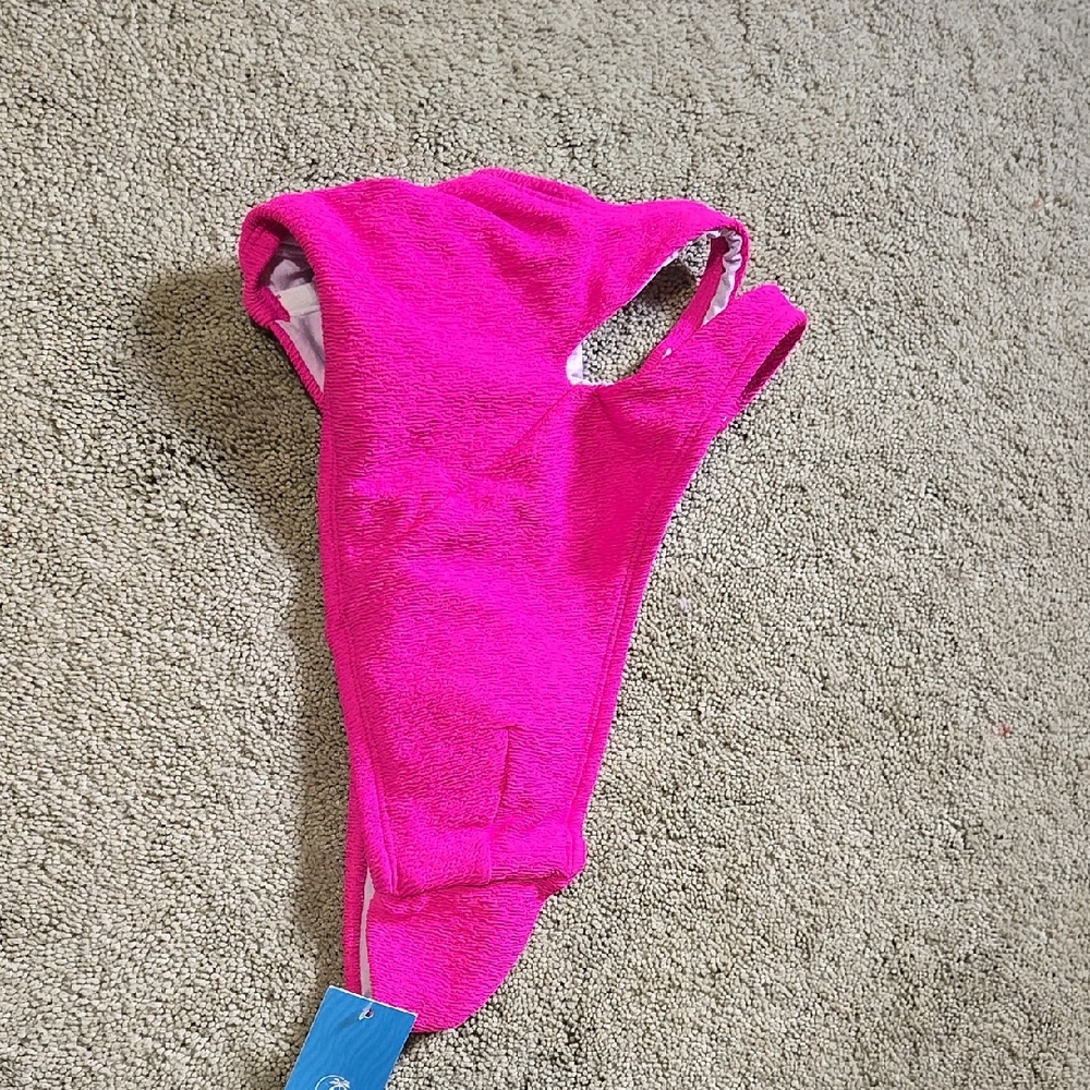 Vibrant Pink Swim Suit Top